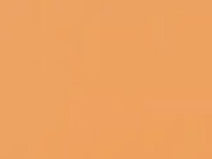 *1051GP Tangerine