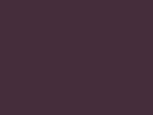 *1061GP Aubergine