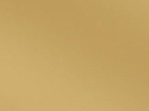 2B Gold Mirror