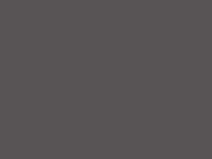 9270S Ash